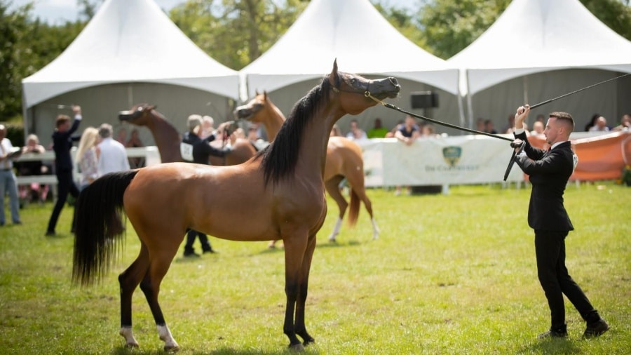 GENOVIA-WN-PHOTO-IN-SHOW-2021