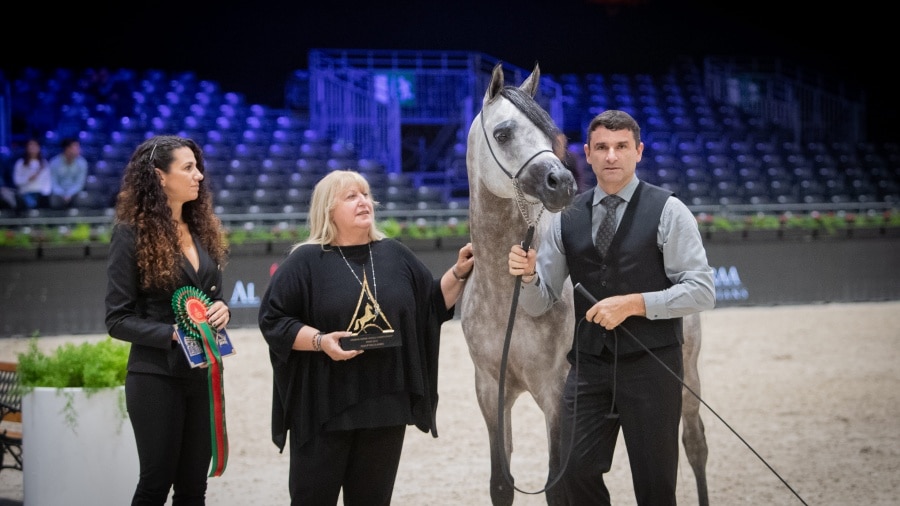 silver-j-colt-2_0