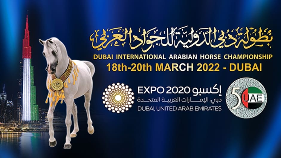 DIAHC – DUBAI INTERNATIONAL ARABIAN HORSE CHAMPIONSHIP 2022 - Arabian ...
